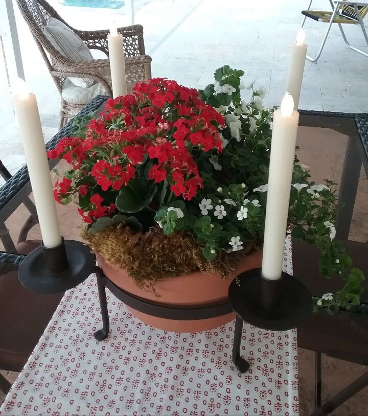red white european dish garden for spring