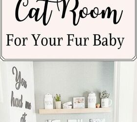 styling a cat room, Pin for later