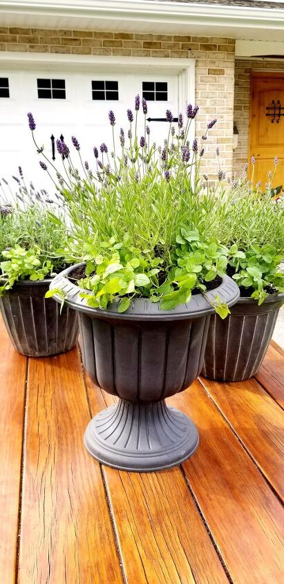 how to make a mosquito repellent patio planter