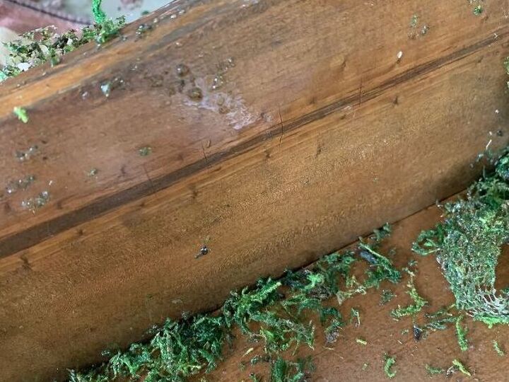 q how do you remove faux moss from a wood surface