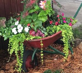 20 whimsical garden ideas that ll make your neighbors stop and stare, A beautiful wheelbarrow garden