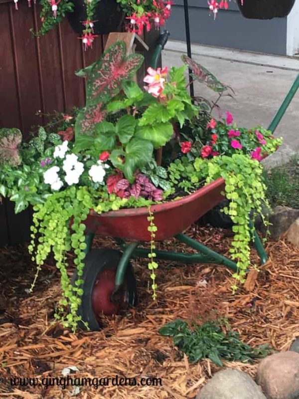 20 whimsical garden ideas that ll make your neighbors stop and stare, A beautiful wheelbarrow garden