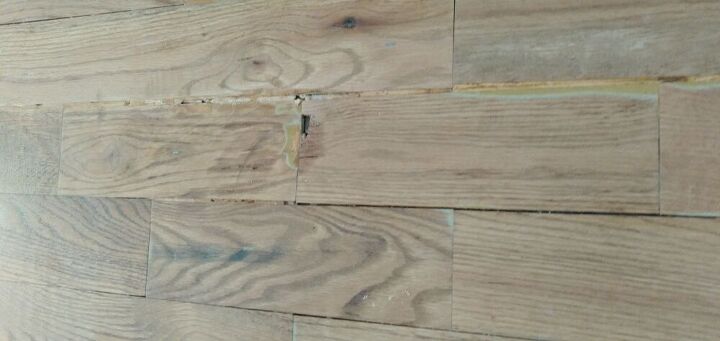 q hardwood floor refinishing