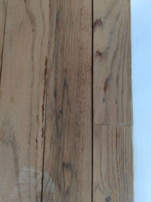 q hardwood floor refinishing