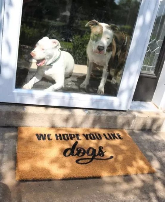 s show your furry friends you love them with these 16 ideas, This humorous welcome mat