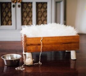 s show your furry friends you love them with these 16 ideas, This rockstar kitty bed