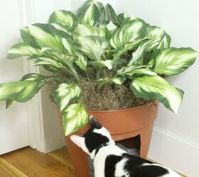 s show your furry friends you love them with these 16 ideas, This disguised litter box