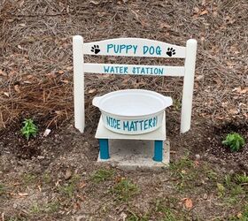s show your furry friends you love them with these 16 ideas, A convenient puppy dog water station