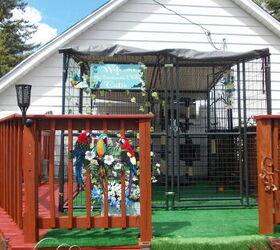 s show your furry friends you love them with these 16 ideas, This crazy fun catio