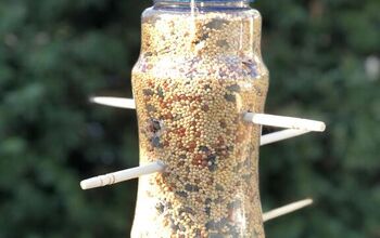  Alimentador de pássaros DIY (de uma garrafa de plástico)