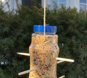 diy bird feeder from a plastic bottle