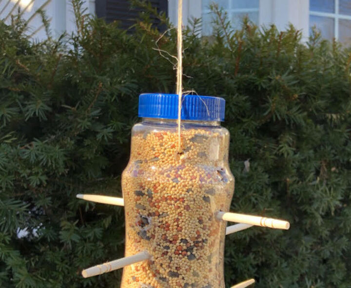 diy bird feeder from a plastic bottle