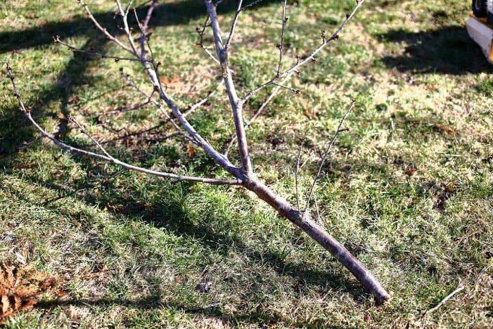how to make a diy fairy light tree with string lights