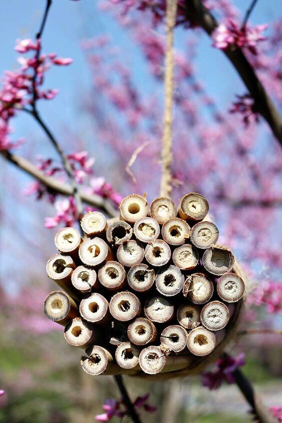 como fazer uma casa de abelhas para abelhas de pedreiro