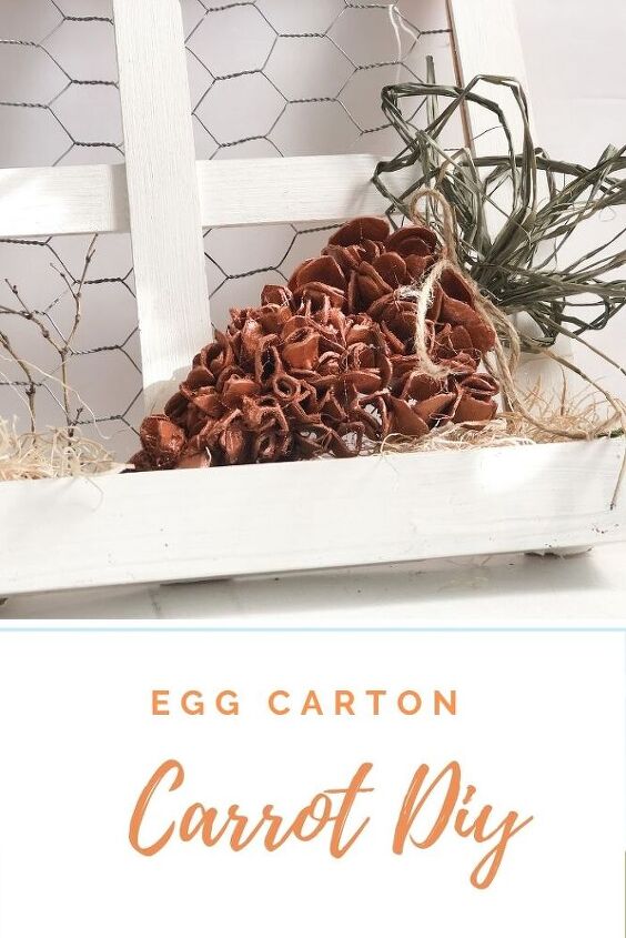 egg carton carrot