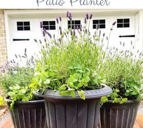 s 15 ways to make your backyard the best on the block this summer, Make a gorgeous mosquito repellent patio planter