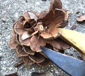 Snip away the ends of a few pine cones to make your door look amazing