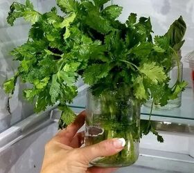 how to store herbs in the fridge longer