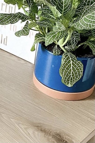 textured planter