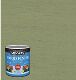 Minwax Wood Finish Water-Based Solid Color Stain in Gentle Olive