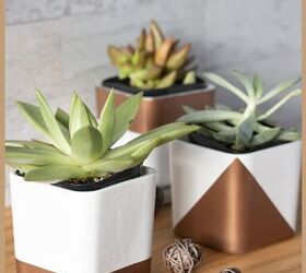 cute and simple succulent containers for your home or office