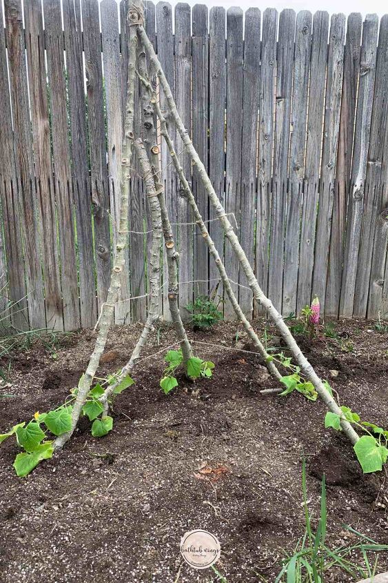suje suas mos nesta primavera com essas 20 idias de jardim, Jardinagem vertical melhore seu jardim com esta ideia de treli a em forma de tenda