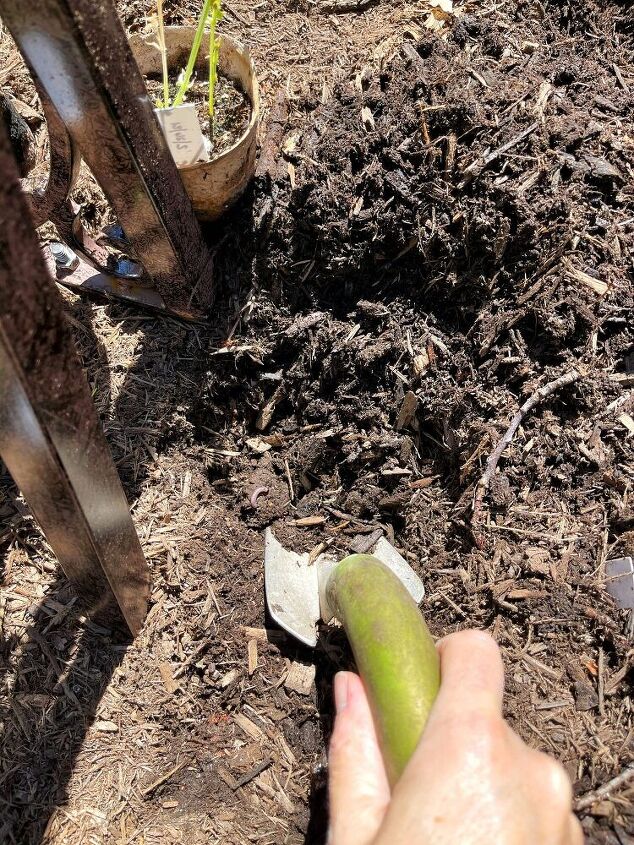 como plantar um jardim depois de iniciar as sementes dentro de casa, Cavar buracos