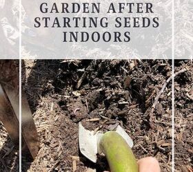 how to plant a garden after starting seeds indoors