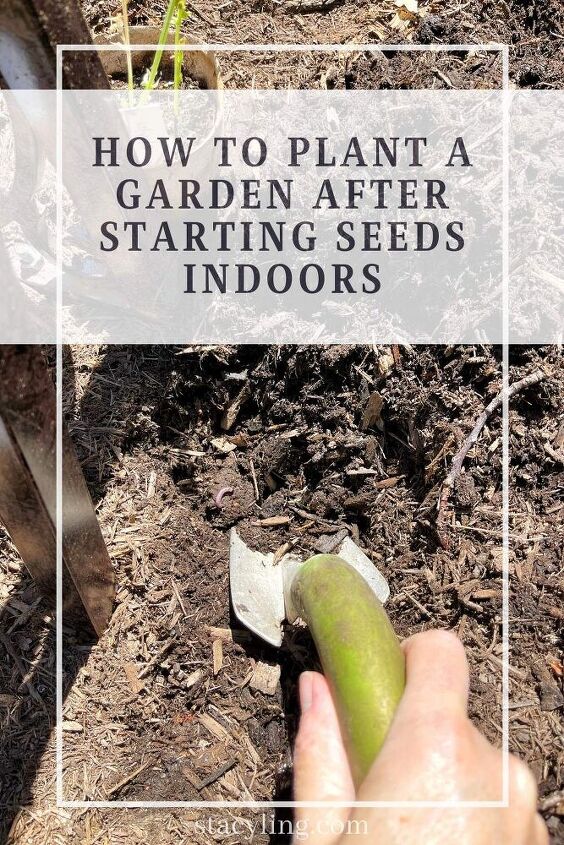 como plantar um jardim depois de iniciar as sementes dentro de casa
