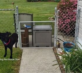 Desperate for a garden gate, these new puppy owners came up with a pretty, $15 fix