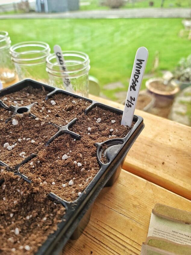 tutorial passo a passo sobre o processo de semear sementes