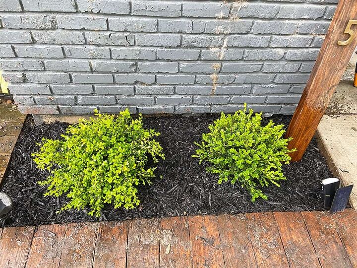 diy spring exterior landscaping update phase one progress