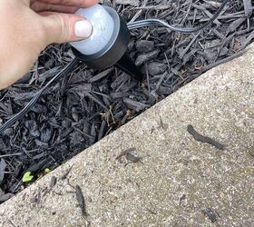 large garden ensacarks