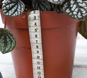 We're definitely measuring our flower pots after seeing what she does with old road maps