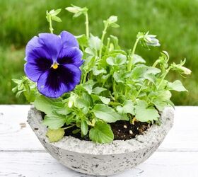 s 12 stunning new ways to show off your flowers this year, Mold a rustic concrete planter bowl