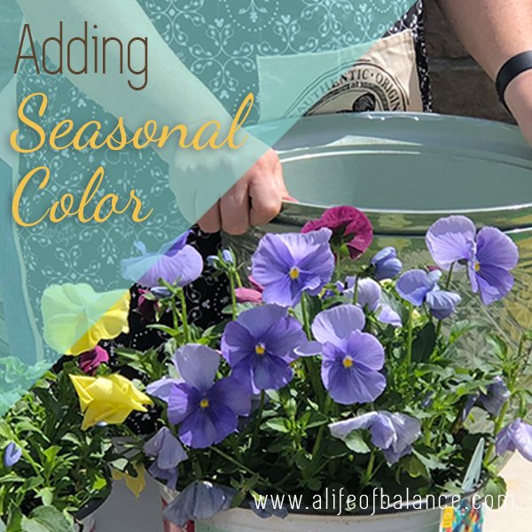 como anadir color de temporada a tu jardin