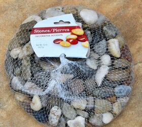 Do this to bring more bees and more beauty to your summer garden