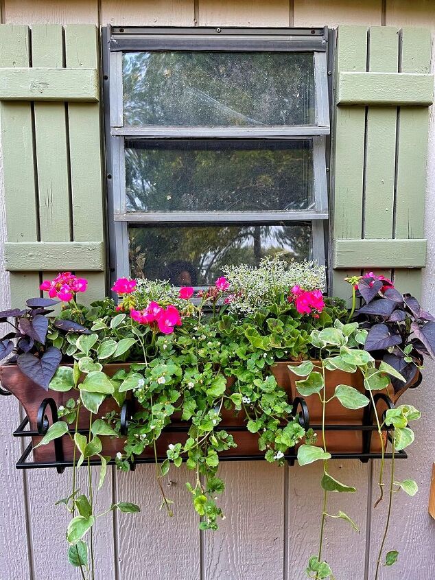 how to plant flowers in window boxes, After planting