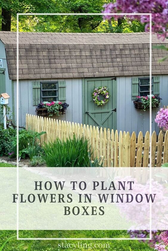 how to plant flowers in window boxes