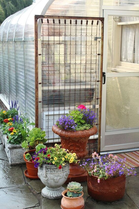 a rusty bed spring becomes a trellis