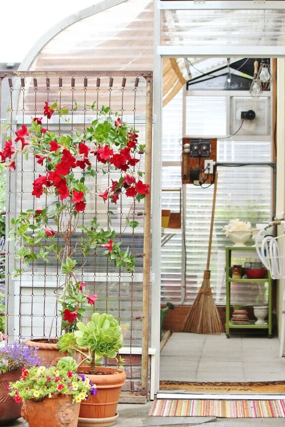 a rusty bed spring becomes a trellis
