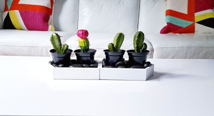 decoracin casera fcil con cactus de la tienda del dlar