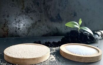 Yeast Fertilizer for Indoor and Outdoor Plants