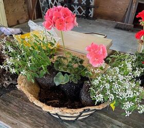 how to create a geranium hanging basket