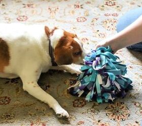 17 DIY dog toys you can make from items in your house 