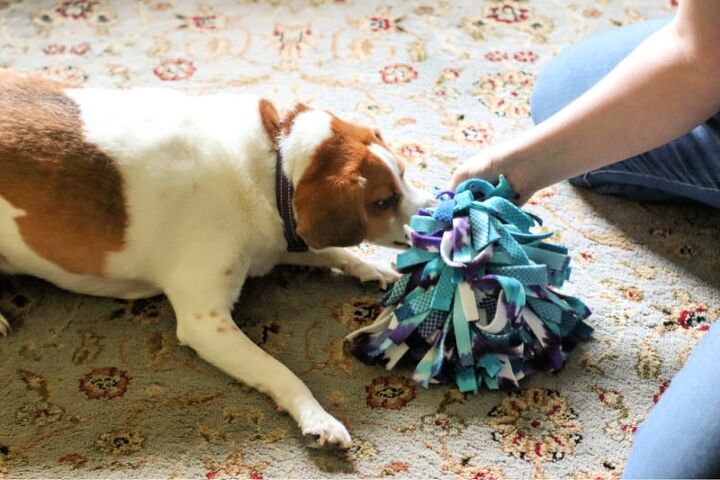 15 DIY Dog Toy Crafts- If you have a dog, there's no reason to spend tons of money on toys from pet stores. Instead, check out these fun homemade dog toys for DIY ideas! | DIY dog toys to sew, how to make your own pet toys, #diyProjects #dog #diyDogToys #crafts #ACultivatedNest