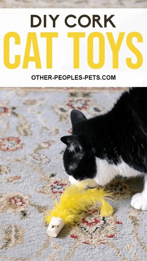 juguete de corcho para gatos