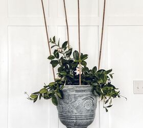 This easy trick starts with sticking 4 stakes in your houseplants