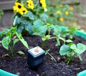 how to use sandbox as a vegetable planter