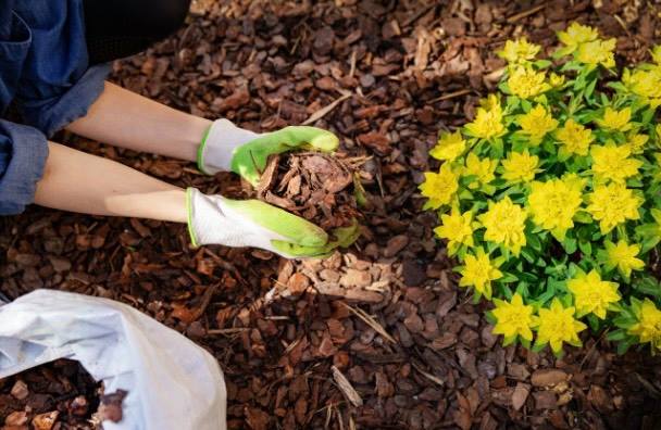 5 maneiras de limpar seu quintal para o vero the curated farmhouse